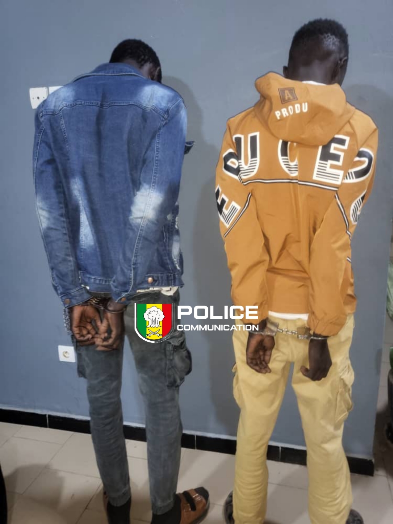 deux agresseurs interpellés après un vol nocturne …