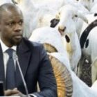 Les décisions importantes annoncées par Ousmane Sonko pour la Tabaski