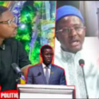 Fary Mar réagit à l’info de Cheikh Bara Ndiaye