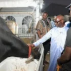 Mabouba Diagne appelle à renforcer la consommation locale pour une souveraineté alimentaire durable