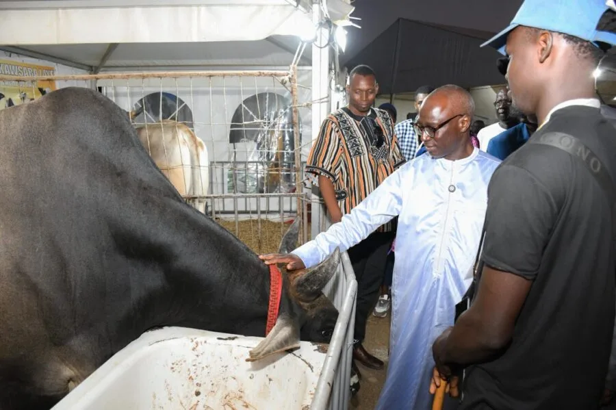 Mabouba Diagne appelle à renforcer la consommation locale pour une souveraineté alimentaire durable