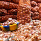 l’État suspend la vente des oignons issus des agro-business …