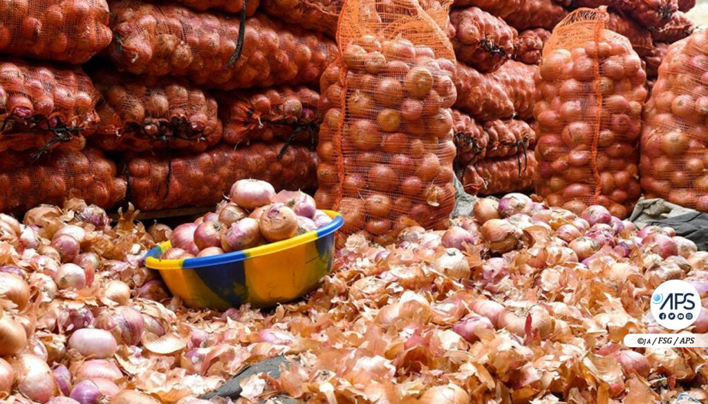 l’État suspend la vente des oignons issus des agro-business …