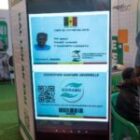 des cartes d’assuré attribuées aux victimes des événements de 2024