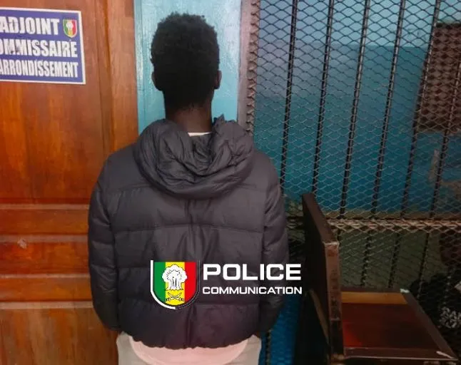 Filmé en pleine fuite avec un mouton dans un sac, il passe aux aveux