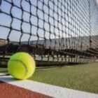 Le Tennis Entre Prestige des Champions et Intérêt Croissant pour les Paris Sportifs