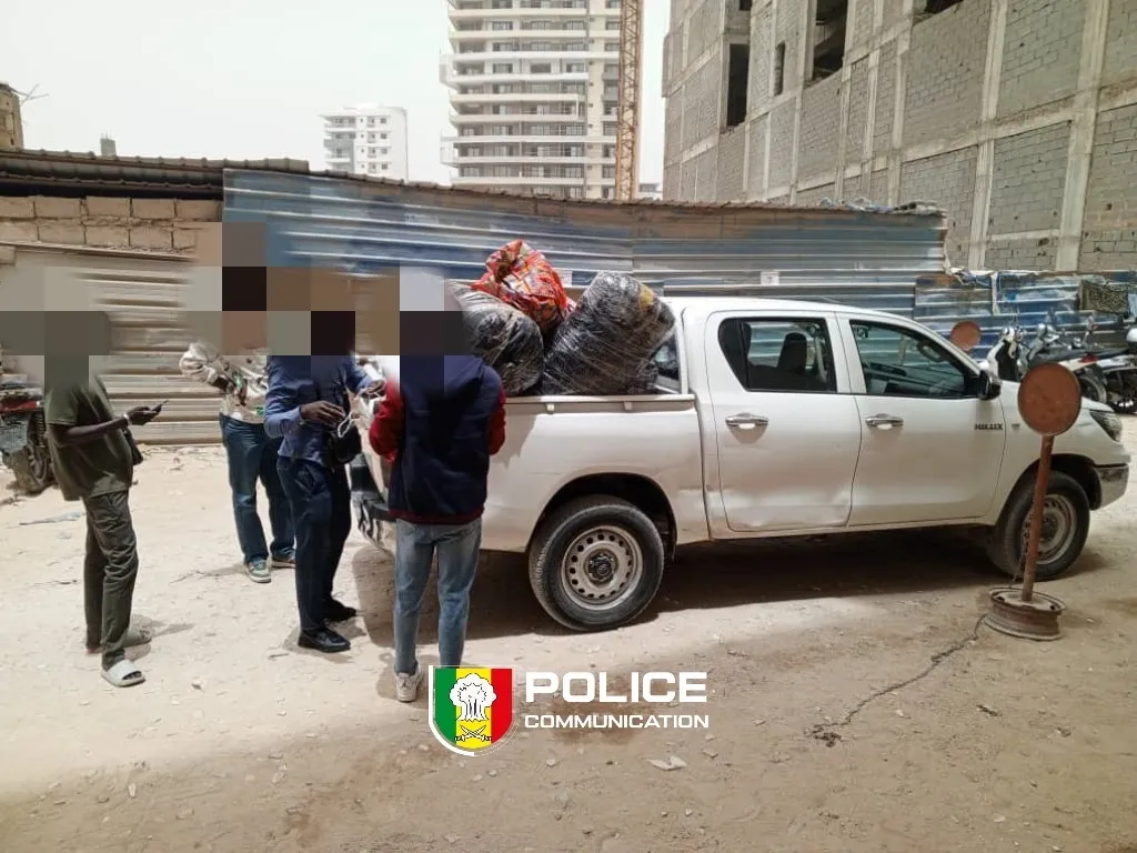 Un réseau de trafic de chanvre indien démantelé, 254 kg saisis