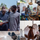 Diomaye Faye affiche ses ambitions