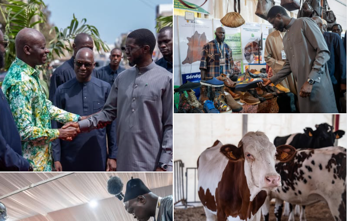 Diomaye Faye affiche ses ambitions