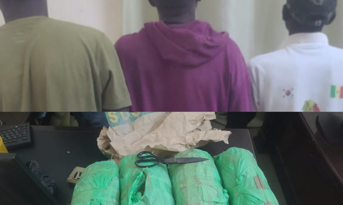 Un réseau de trafic de chanvre indien démantelé, trois individus interpellés