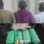 Un réseau de trafic de chanvre indien démantelé, trois individus interpellés