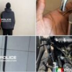 spécialisés dans les vols nocturnes