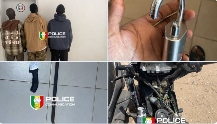 spécialisés dans les vols nocturnes