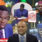 une proposition de loi relance le débat sur la candidature de Ousmane Sonko en 2029, inquiétude pour Mame Mbaye Niang (vidéo)