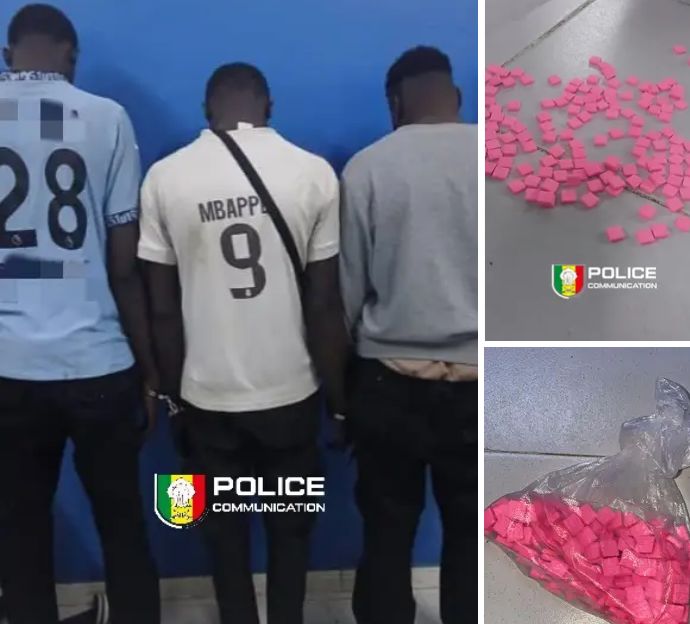 Démantèlement d’un réseau de trafic de « Kush » …