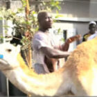 Une préparation très mystique avant le choc contre Eumeu Sène