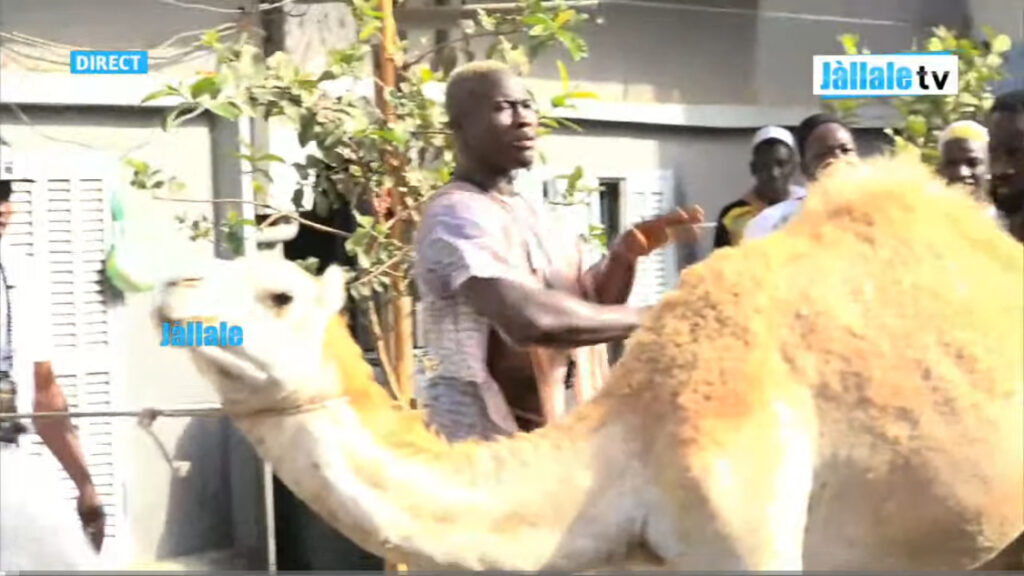 Une préparation très mystique avant le choc contre Eumeu Sène