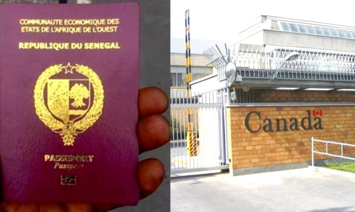 la diaspora sénégalaise au Canada tire la sonnette d’alarme