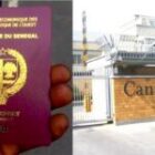 la diaspora sénégalaise au Canada tire la sonnette d’alarme