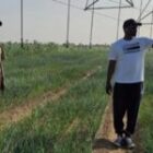 les instructions du président Diomaye Faye à Ousmane Sonko et Mabouba Diagne