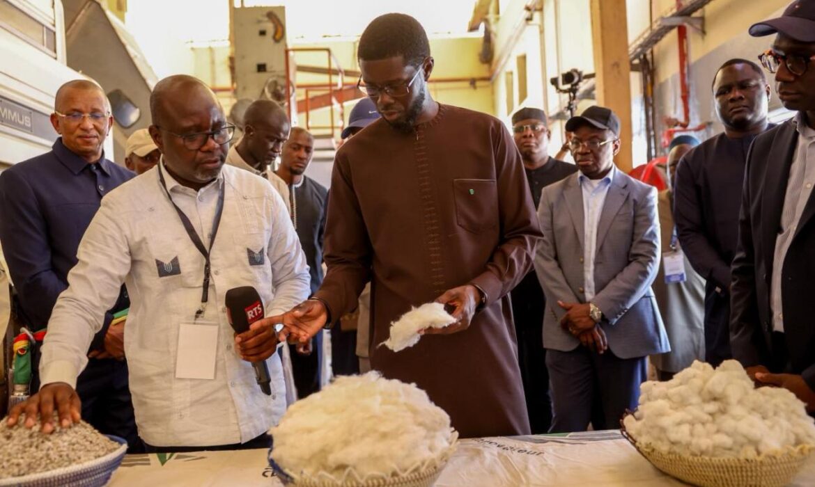 A Vélingara, l’optimisme du Pr. Diomaye pour la filière coton