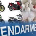 La Brigade de Recherches de Faidherbe découvre une planque de motos volées et des moutons