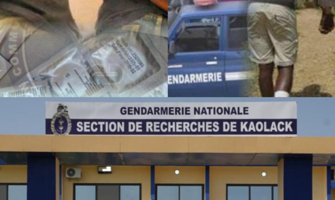 Un vigile de banque et un fils de notable à la tête d&rsquo;un réseau