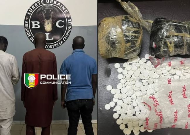 Trois individus arrêtés pour importation et trafic de produits pharmaceutiques contrefaits (Tramadol)