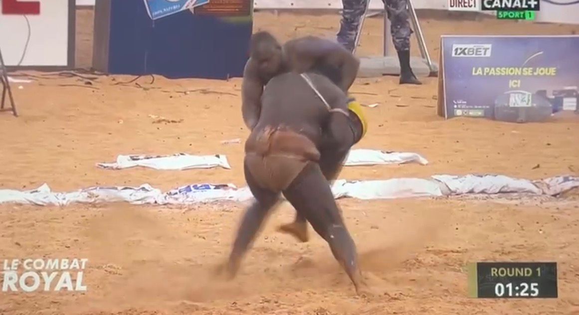 Sa Thiès bat Modou Lo et devient le Roi des Arènes, voici la chute (vidéo)