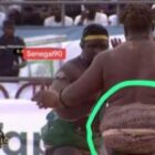 La Fédération de Lutte sanctionne Doudou Sané