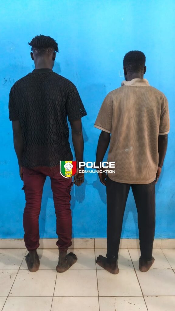 Deux individus arrêtés après trois plaintes pour vols de batteries