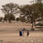 Le Conseil de sécurité de l&rsquo;ONU « condamne avec la plus grande fermeté les attentats » au Mali
