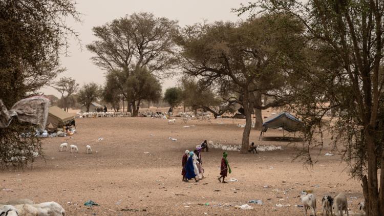 Le Conseil de sécurité de l&rsquo;ONU « condamne avec la plus grande fermeté les attentats » au Mali