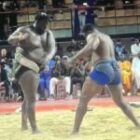 Gris 2 s’impose devant Moussa Ndoye par avertissement