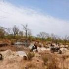 la gendarmerie démantèle des sites d’orpaillage clandestins et saisit un important lot de matériel