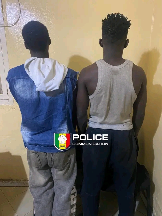 Démantèlement de gangs de rue à Kolda : La Sûreté urbaine neutralise deux chefs de bande