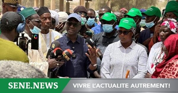 Les nouvelles trouvailles du gouvernement pour des moutons « made in Sénégal »