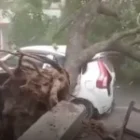 Des orages font 89 morts dans l&rsquo;Etat de l&rsquo;Uttar Pradesh