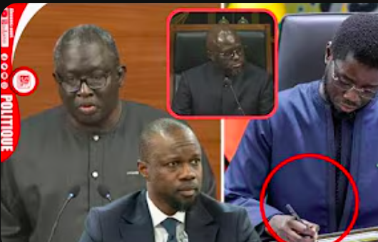 Ayib Daffé revient sur le message adressé par le PR Diomaye à El Malick (vidéo)