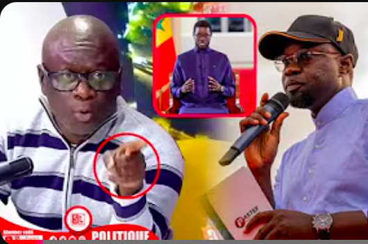 Aliou Sow estime que Sonko ne devait plus être président (vidéo)