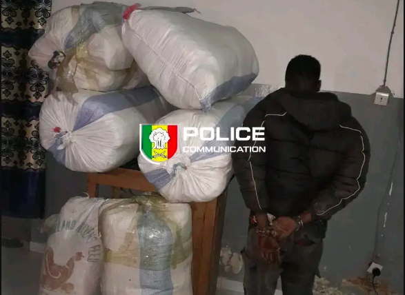 114 kilos de chanvre saisis par la BRS