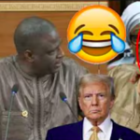 «Boul attaqué Donald Trump…» (vidéo)