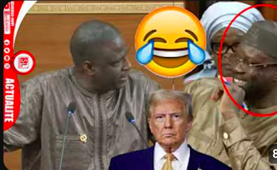 «Boul attaqué Donald Trump…» (vidéo)