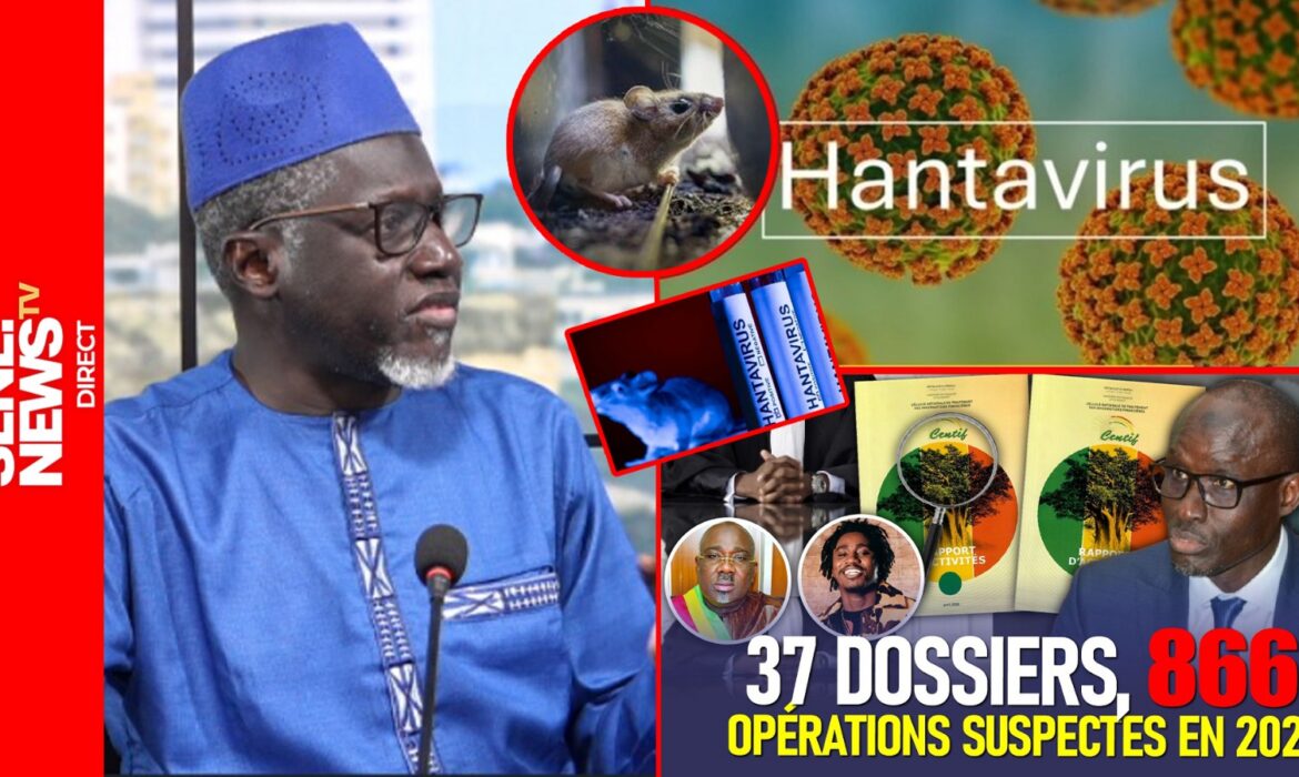 Hantavirus au Sénégal, dette alarmante et polémique France TV