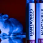 mission scientifique à Ushuaïa en quête de l&rsquo;origine de la contamination la semaine prochaine (autorités sanitaires)