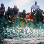 Colère des pêcheurs artisanaux contre Fatou Diouf