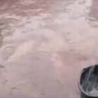 Une pluie hors saison surprend les habitants de Salalatou en plein mois de mai (vidéo)