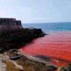 Les eaux de la plage du « Cimetière » virent subitement au rouge