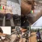 Kidira : 660 bâtons d’explosifs et 1.000 mètres de cordon détonant saisis de nuit