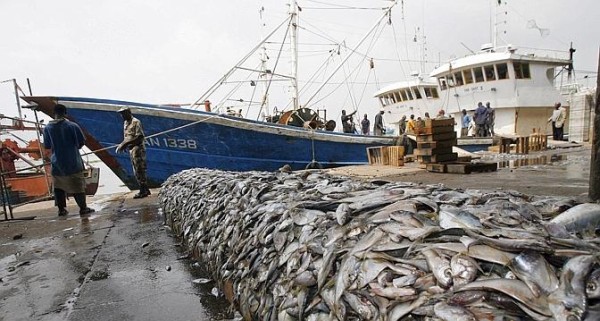 Pêche au Sénégal : l’État attribue 4 licences côtières à un armement national